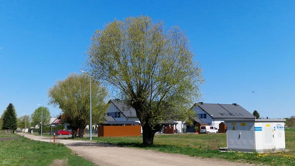Urz�d Miejski w Wolsztynie